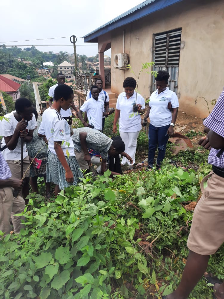 Students working on environmental project